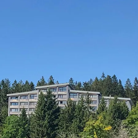 Panorama Bayerwald-3